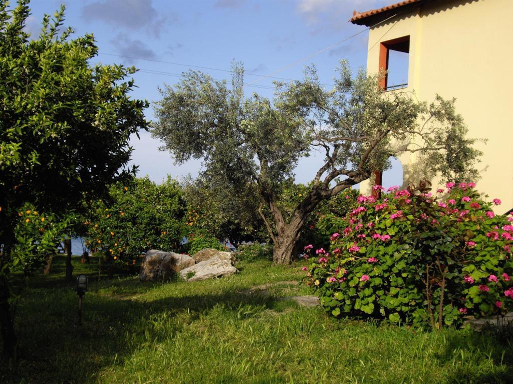 Magda Hotel Apartments Epidaurus Exterior foto