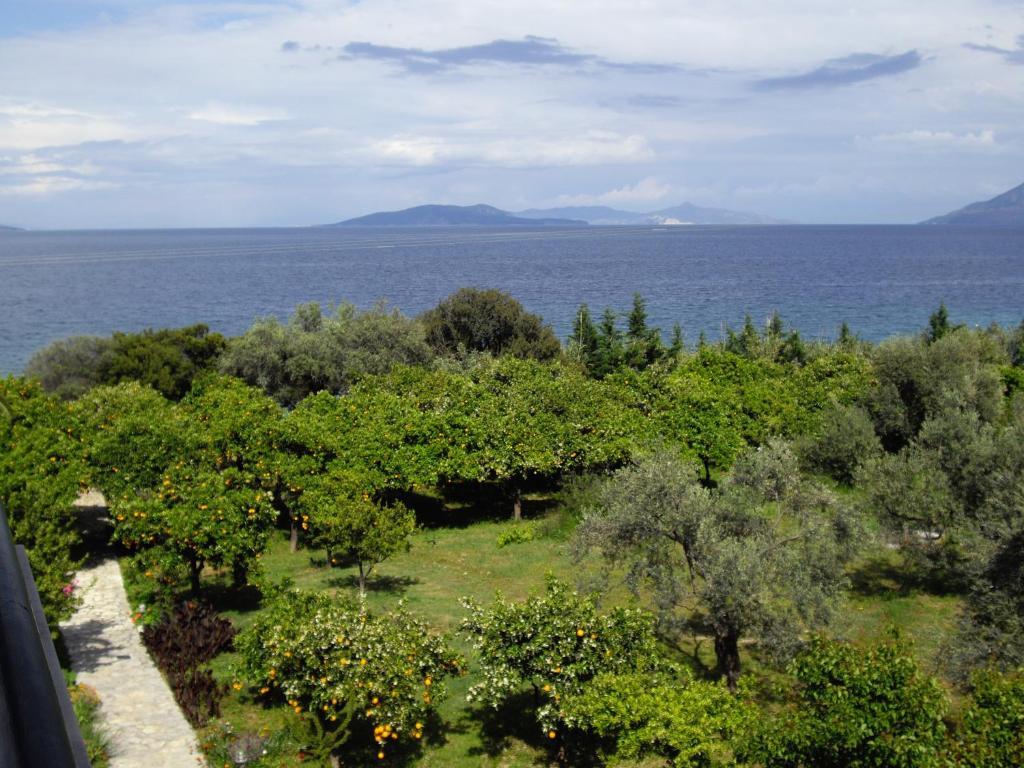 Magda Hotel Apartments Epidaurus Exterior foto